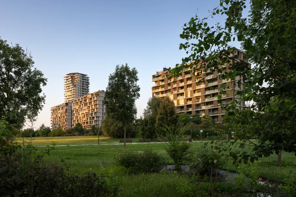Due edifici residenziali di UpTown visti dal parco al tramonto, tra alberi e prato